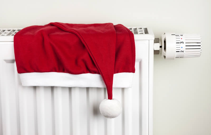 Merry Christmas from MPHS